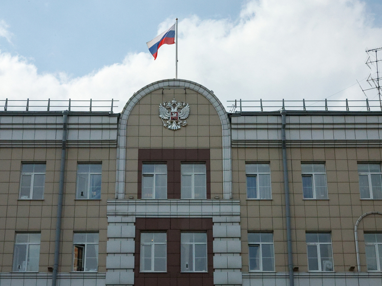 Следствие просит арестовать Конфоркину