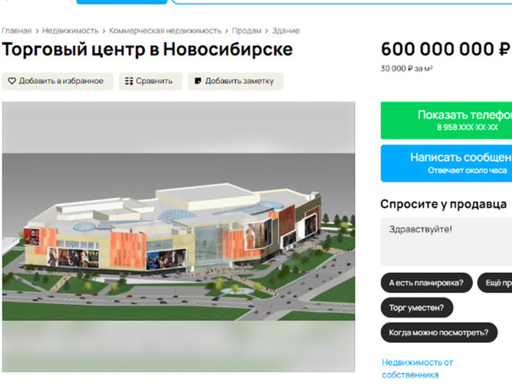 В Новосибирске ТЦ на левом берегу выставили на продажу за 600 млн рублей