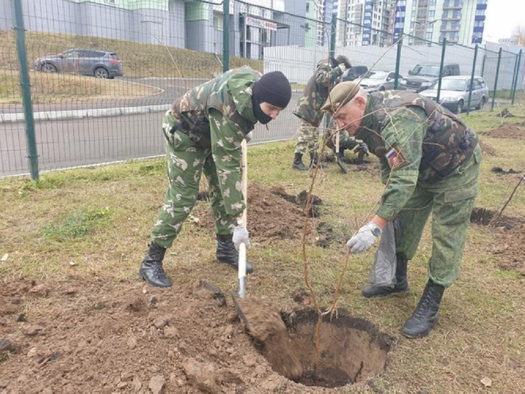 В Красноярске на Копылова посадили 30 новых деревьев и установили зайца