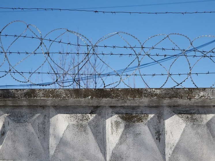 В Пензе ссора между сожителями чуть не привела к убийству