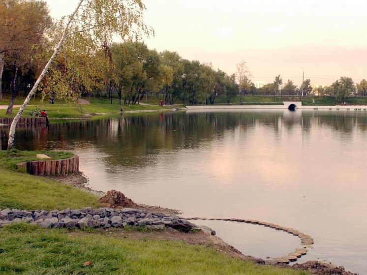 Синоптик сообщил о ночных заморозках в Подмосковье