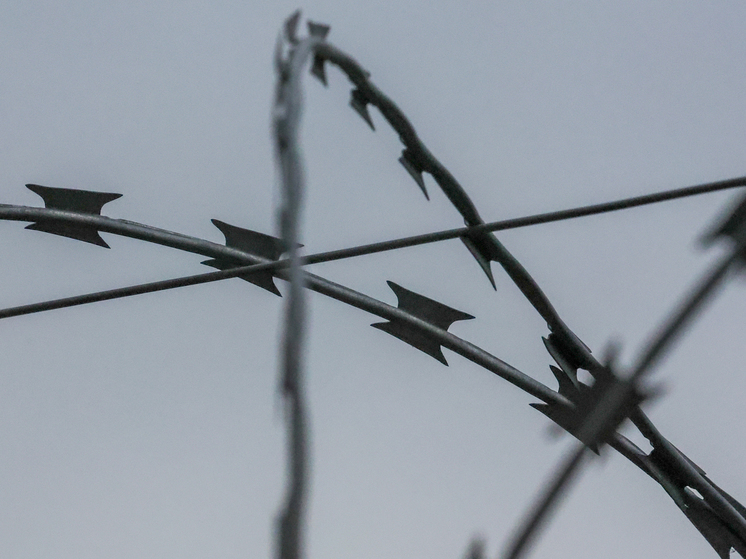 Шесть заключенных сбежали из колонии в Липецкой области