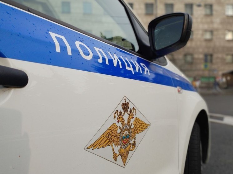 В Петербурге умер младенец, которого оставили под присмотром мигрантки-нелегалки