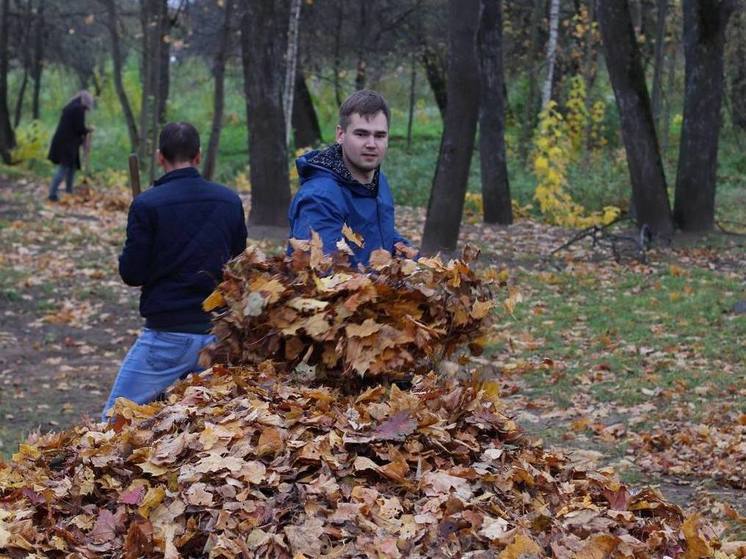 Субботник прошёл в Локне