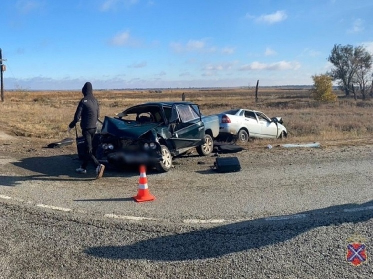 В Волгоградской области возбудили уголовное дело после смертельного ДТП