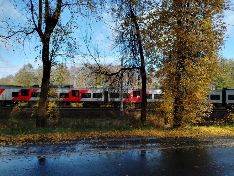 В Ленобласти 27 октября до +11 градусов, утром туман и гололедица