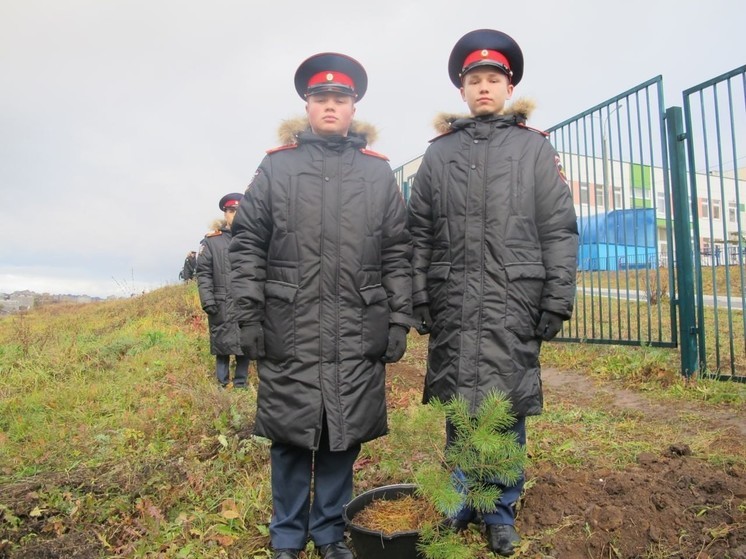 В Чебоксарах появилась аллея в честь участников СВО