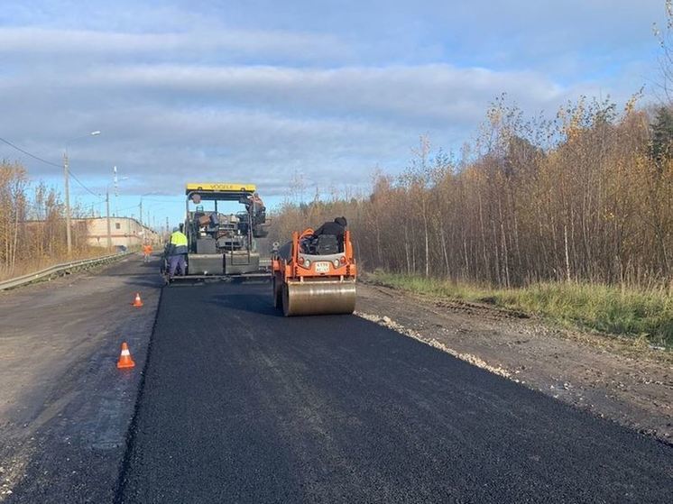 В промзоне в Сосновом Бору начался ремонт дороги