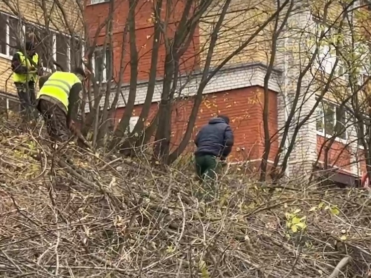 Во Владимире продолжаются работы по благоустройству