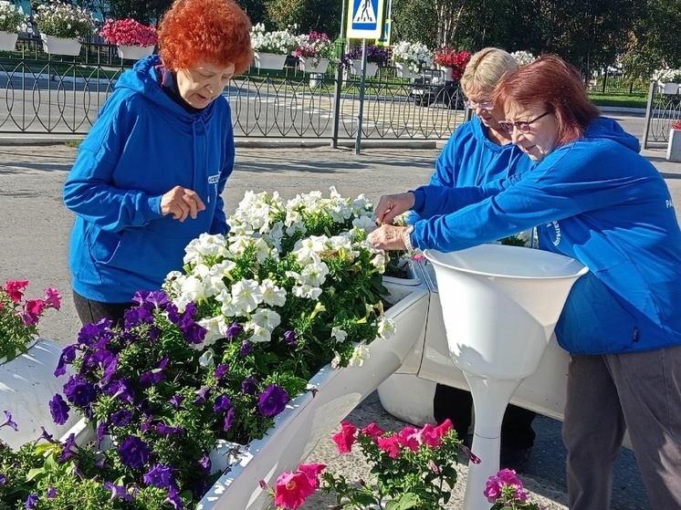 Активисты Колы убрали городские клумбы