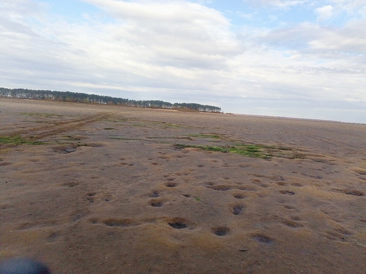 В Ярославской области обмелело Рыбинское водохранилище