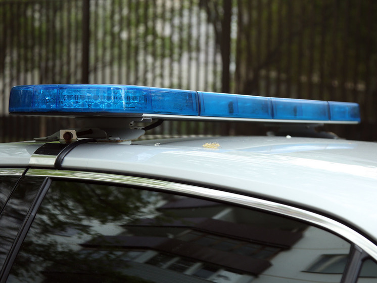 После массовой драки в Пушкино возбудили уголовное дело