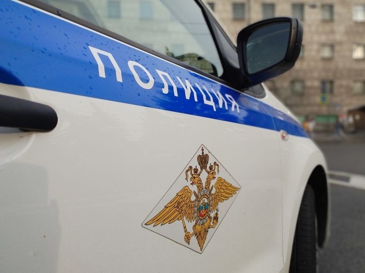 В Кудрово задержали мужчину по подозрению в изнасиловании жены
