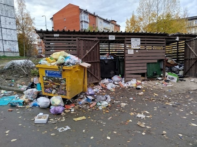 Стало известно, когда будут травить крыс в Петрозаводске