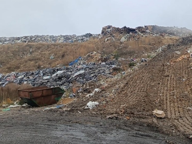 Власти назвали причины закрытия мусорного полигона в Киржачском районе