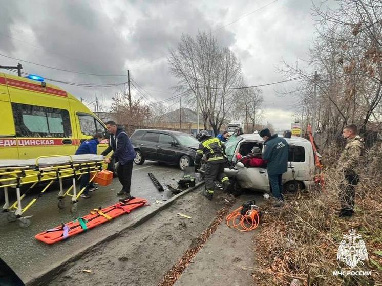 Новосибирские спасатели вытащили двух человек из готового загореться автомобиля