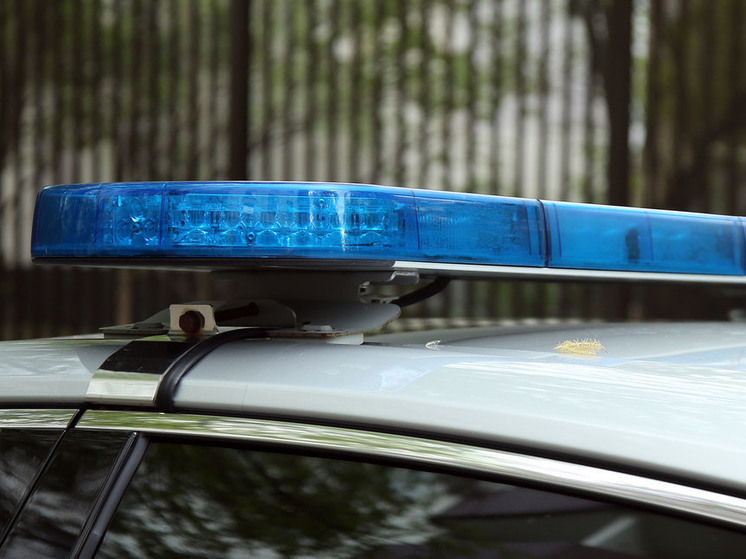 В Подмосковье столичные силовики задержали «черного риелтора»