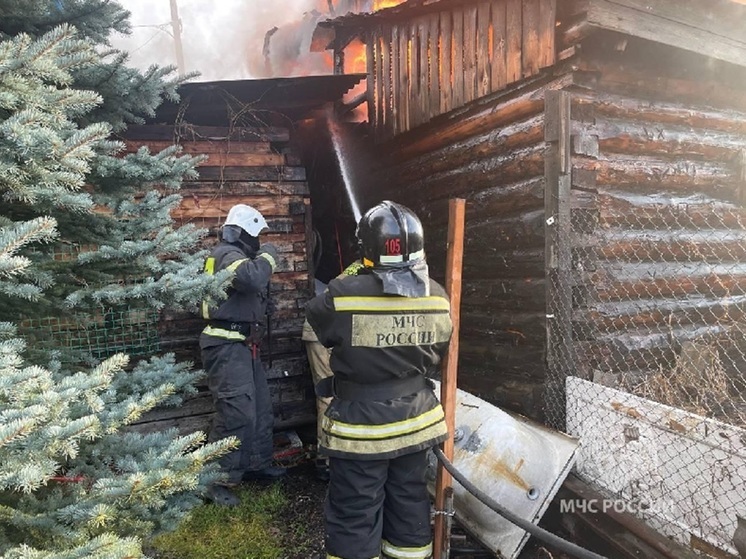 Сотрудники МЧС потушили пожар в коллективных садах Екатеринбурга