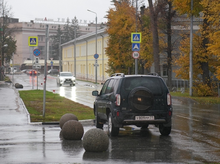 Холодную и дождливую погоду прогнозируют в Туле 28 октября