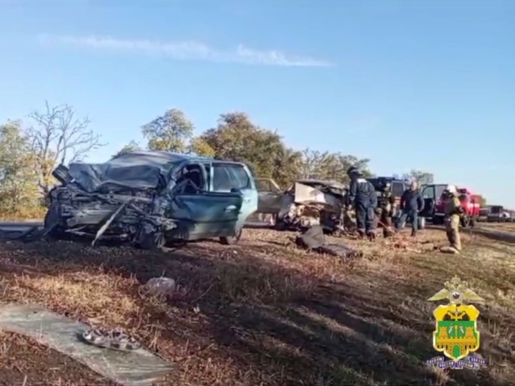 В аварии в Павловском районе погибли два человека