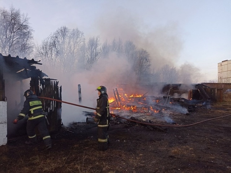 Огонь уничтожил шесть гаражей в Мурманской области