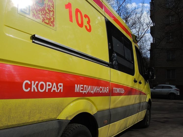 Бродячие собаки искусали и заблокировали шестиклассника в заброшенном здании Санкт-Петербурга