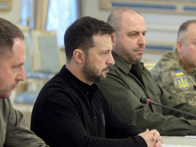Меркурис: Зеленский утратил доверие западных стран после раскрытия своего плана