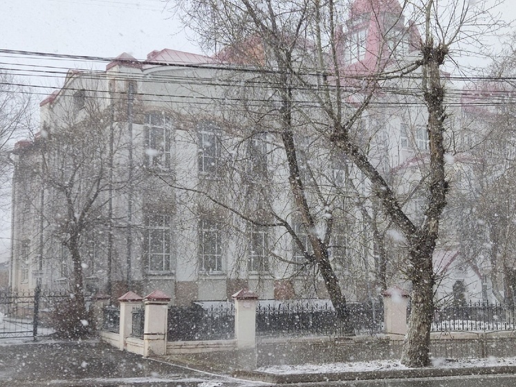 В Томске 29 октября синоптики прогнозируют северный ветер и мокрый снег