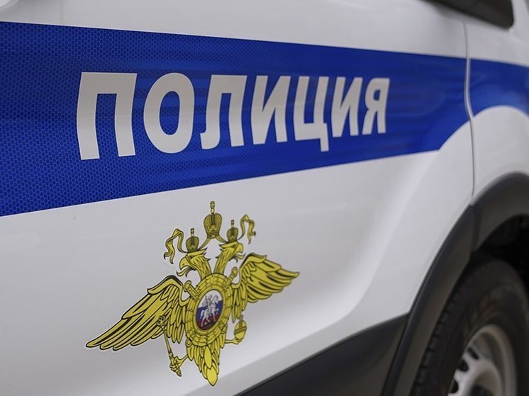 Пятеро участников массовой драки в парке Пушкино установлены