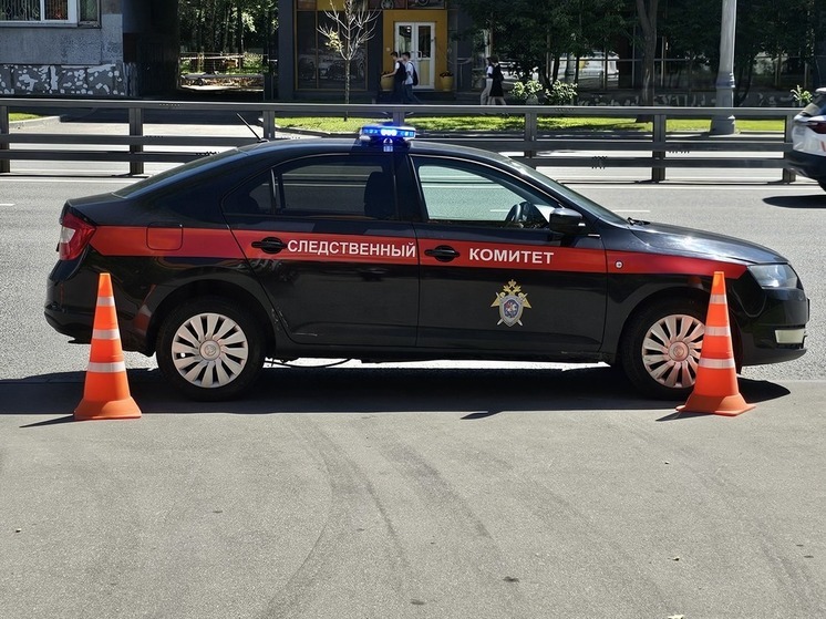 В Наро-Фоминске мужчина застрелил жителя, приняв его за дикое животное