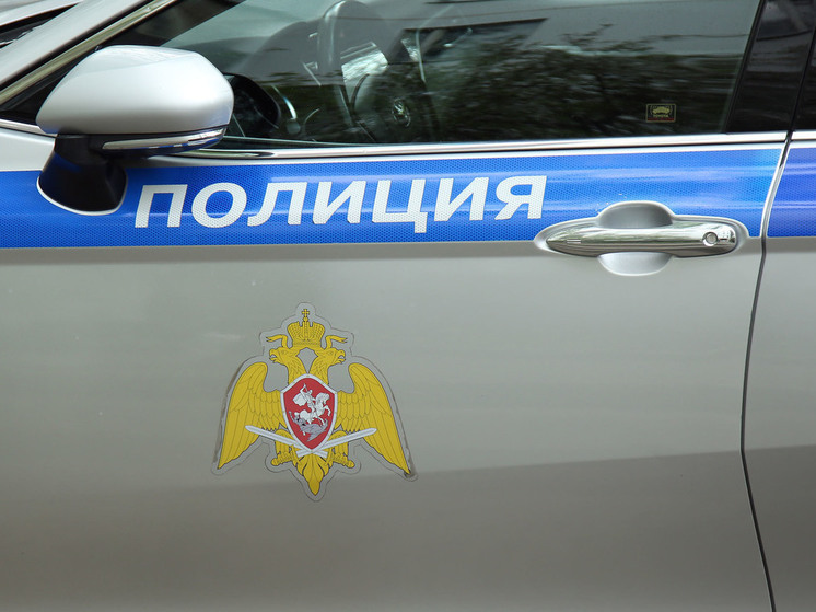 В Подмосковье чиновник и его супруга не могут поделить детей