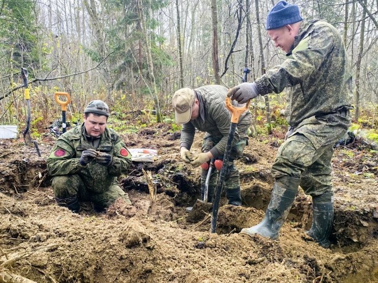 В Оленинском округе Тверской области поисковики подняли останки семи красноармейцев