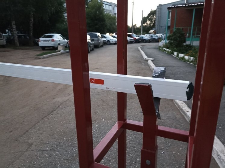Власти Калининграда запрещают въезд автомобилей в лес в микрорайоне Чкаловск