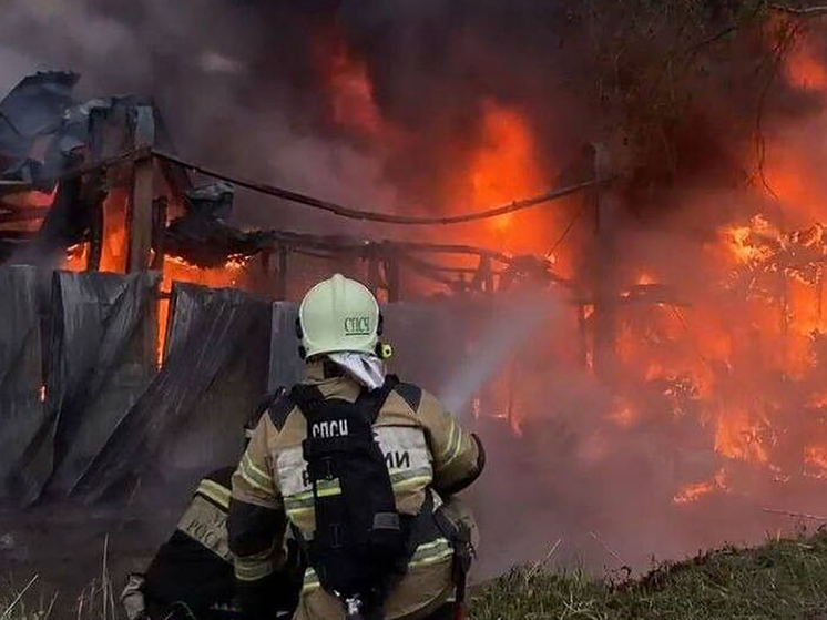 На Камчатке возбудили дело о поджоге магазина