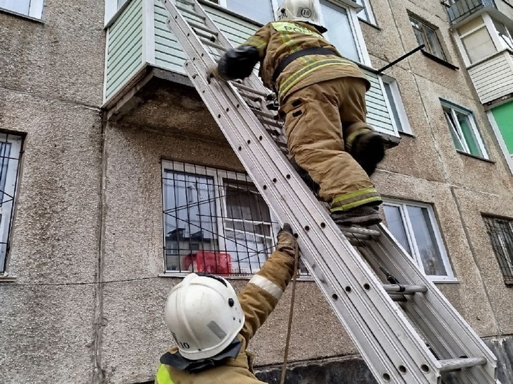 В Алтайском крае пожилая женщина оказалась заложницей собственной квартиры