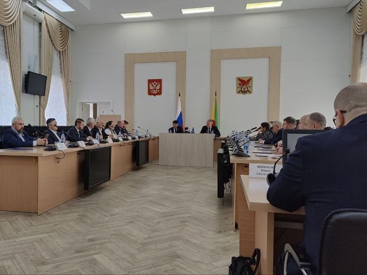 Кон раскритиковал главу Минприроды Забайкалья за неявку на доклад по дровам