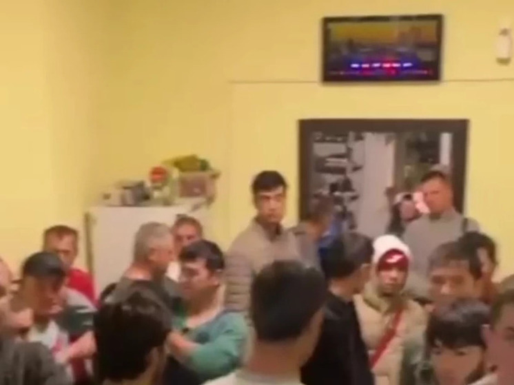 Новосибирцы уехали в СИЗО за помощь мигрантам
