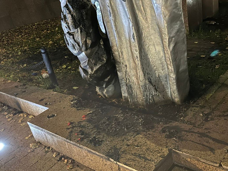 Подпалившая венки на монументе в Подмосковье женщина оказалась нездоровой