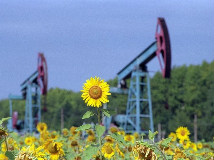 Что даст стране полновесное использование природных богатств