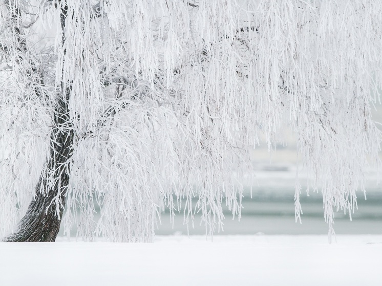 Омск накрыла сильная метель