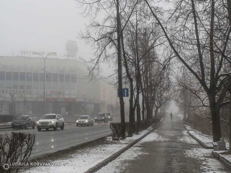 Госавтоинспекция вновь обратилась к водителям Карелии