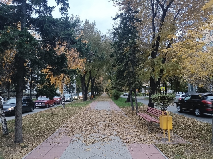 Синоптики Хакасии пообещали снег, дождь и сильный ветер