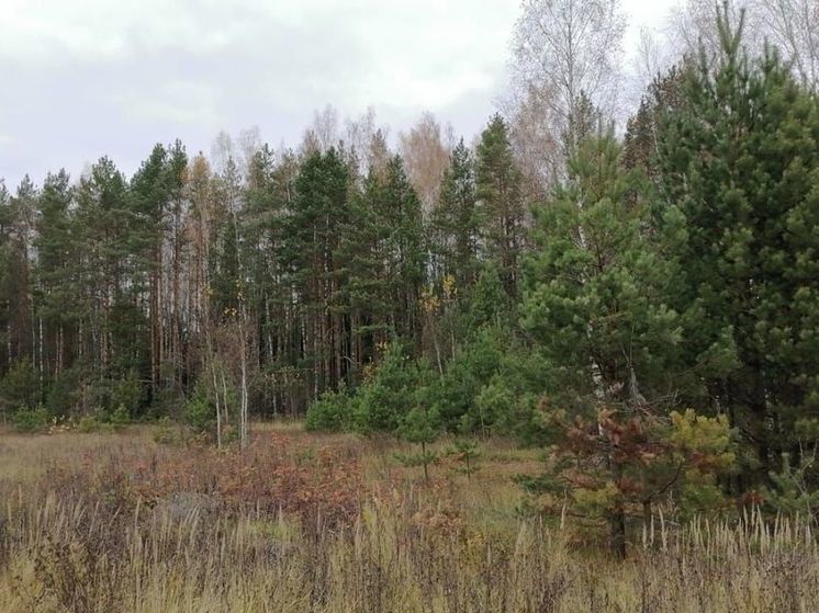 Предположительно фрагмент БПЛА нашли в Ленинском округе Подмосковья