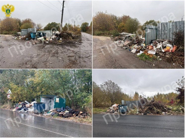 Прокуратура потребовала управление городского хозяйства Узловой ликвидировать свалку