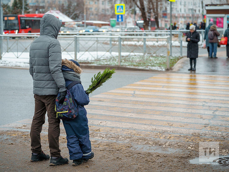 С начала года в Татарстане произошло 35 случаев гибели пешеходов на дорогах