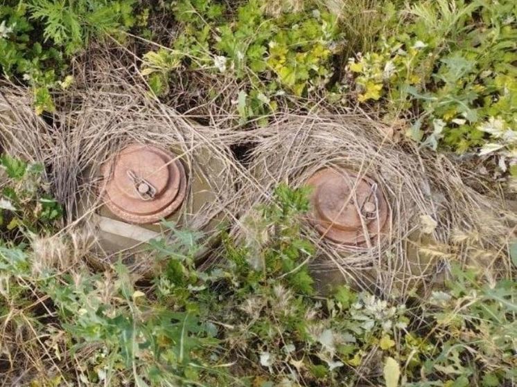 В Запорожской области полицейские обнаружили тайник с боеприпасами