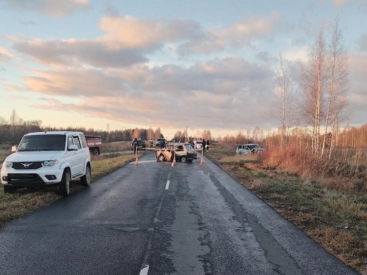 В Парфинском районе произошло смертельное ДТП