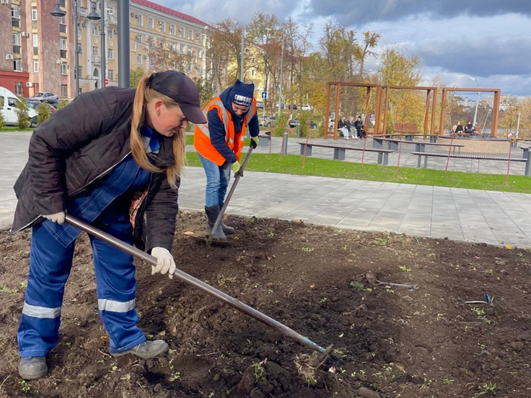 В Орле в сквере Танкистов высадили 5 тысяч луковиц тюльпанов