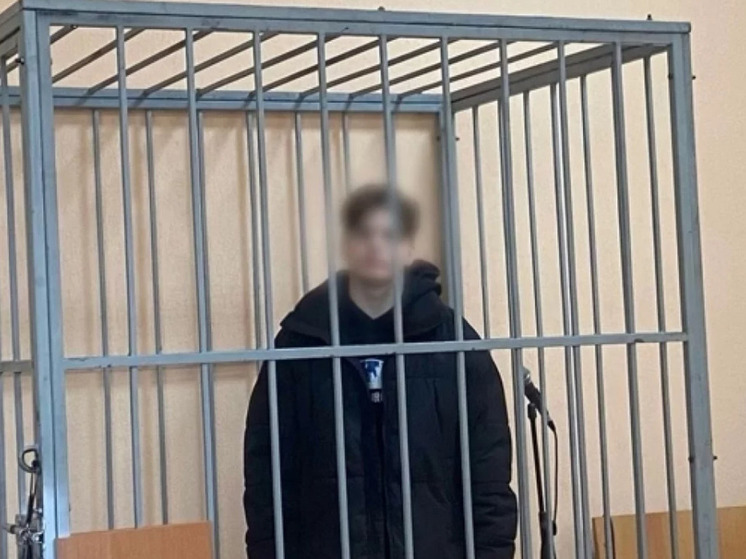 Заключили под стражу парня, убившего бабушку бросившей его девушки