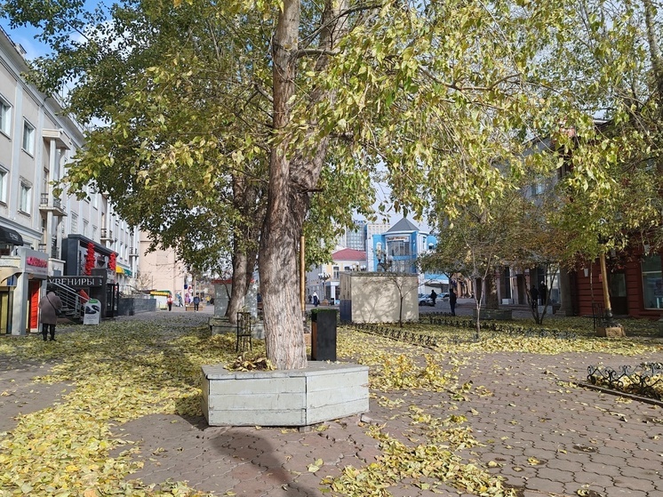 Когда-то в городе опавшие листья жгли прямо на улице, а в наше время с наступлением поздней осени их собирают в полиэтиленовые мешки и вывозят на мусорный полигон за Вахмистрово. В социальных сетях ставшие экологически подкованными горожане подмечают, что ни сжигание листьев, ни их утилизация на полигонах не являются правильными, ведь опавшая листва полезна для роста самих деревьев.